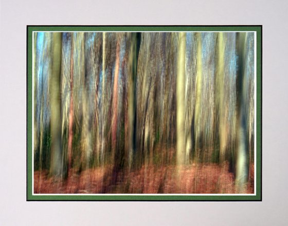 Deep in the Forest three with ICM Photography