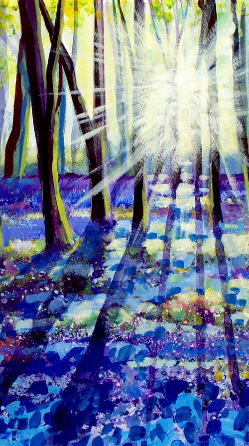 Evening Bluebells by Julia  Rigby