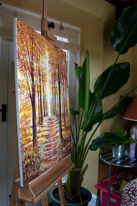 Light Through Autumn Trees