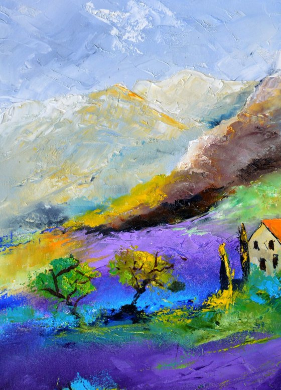 Lavender in Provence 7823