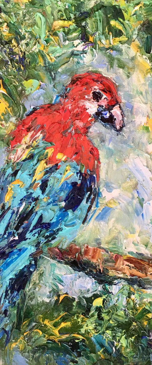 Parrot Ara by Vilma Gataveckienė