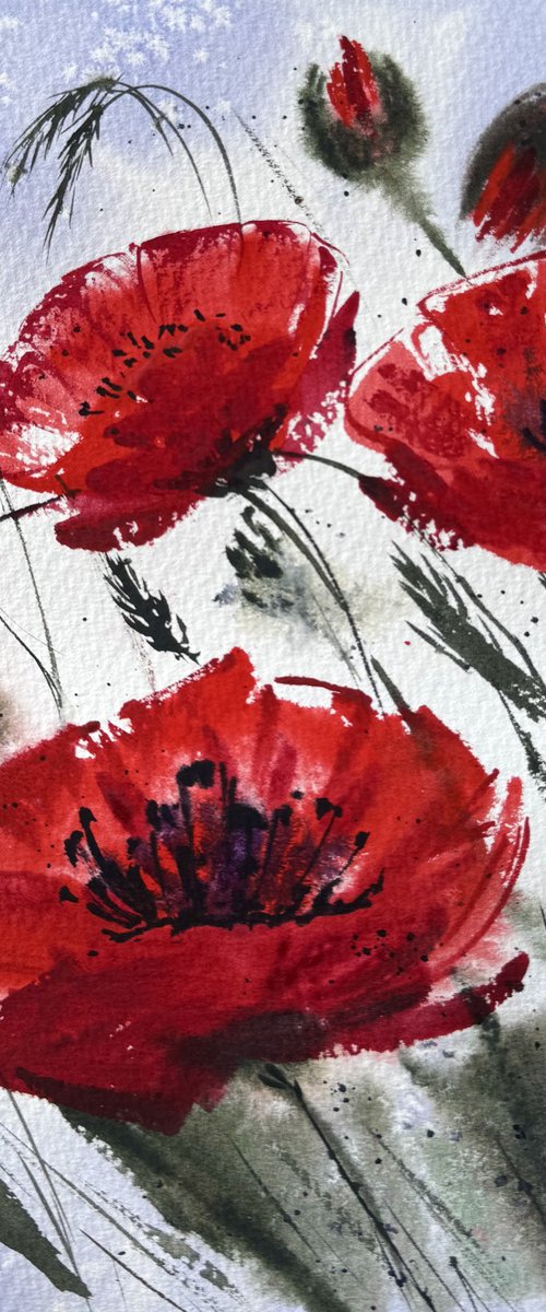 Red Wild Poppies by Yuliia Sharapova