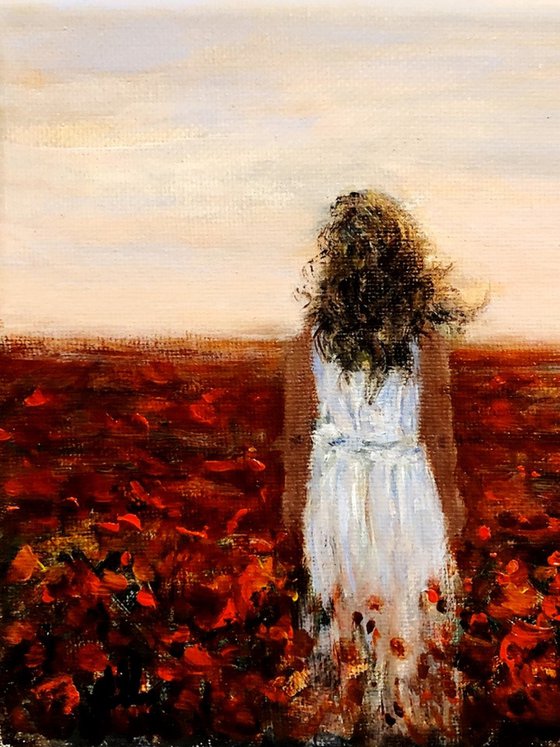 Lost in a field of poppies.../free shipping in USA