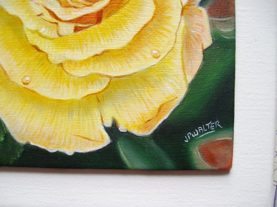 Rose in the Garden