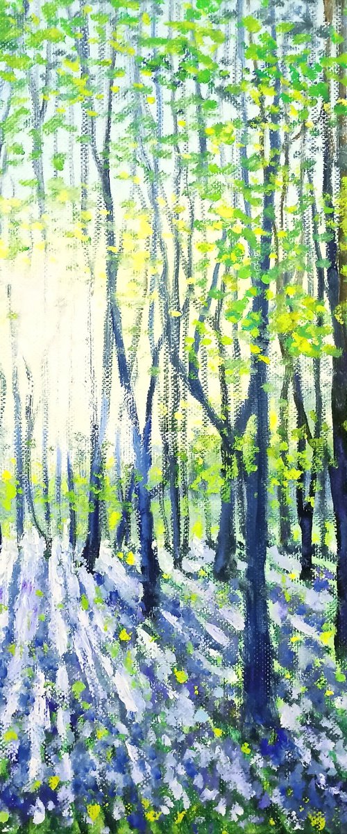 Spring morning in the park by Oleh Rak