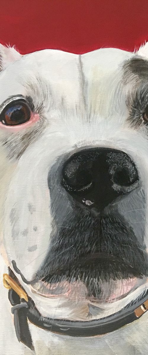 BRUNO - BULL TERRIER by ELAINE ASKEW