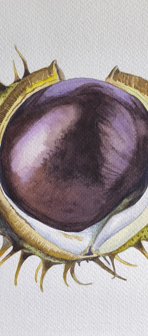 Original Botanical Art: Shiny Chestnut Detail by Iryna Zadnipriana