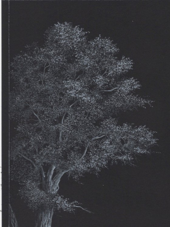 Moonlit tree