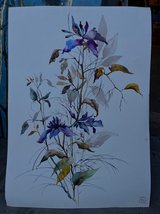 Violet Bloom