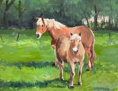 Horses in a meadow by Toni Swiffen