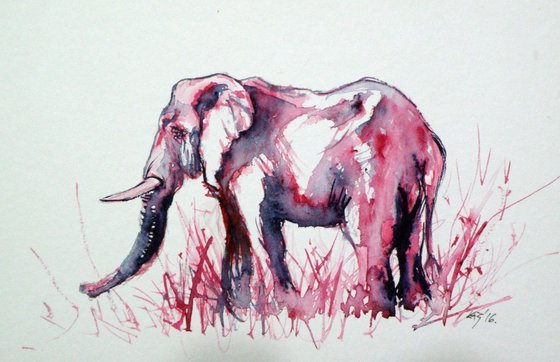 Elephant