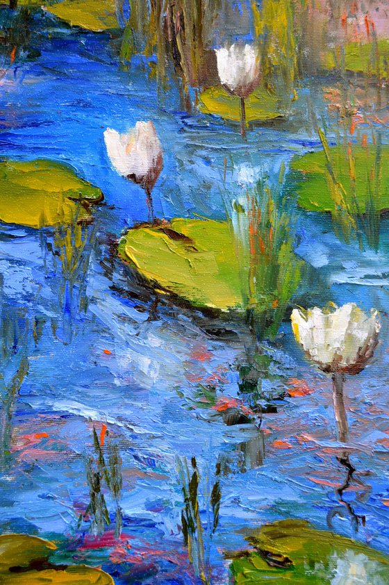 White Lily Pond