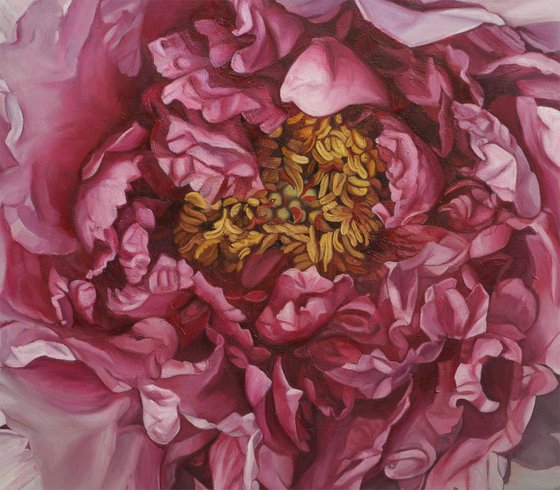 peony flower