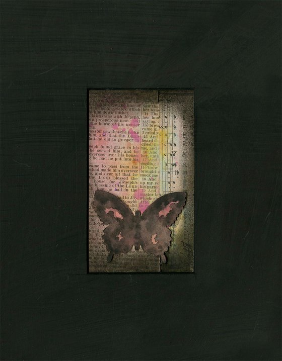 Butterfly Medley Collection 4