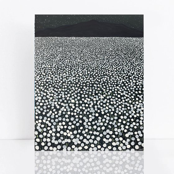 Flower Field IV