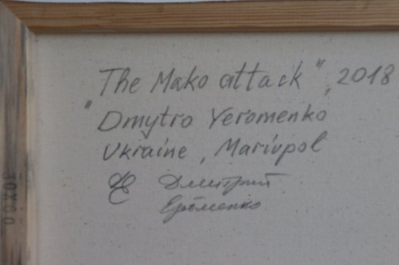 The MAKO attack, 60*30