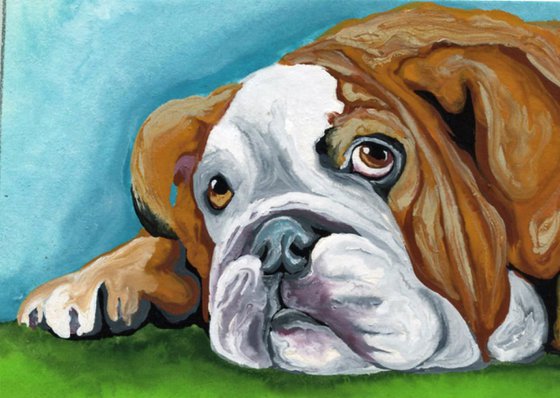 ACEO ATC Original Miniature Painting English Bulldog Pet Dog Art-Carla Smale