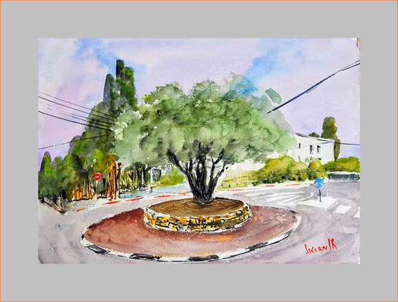 Olive tree in the city