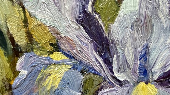 When the irises were big