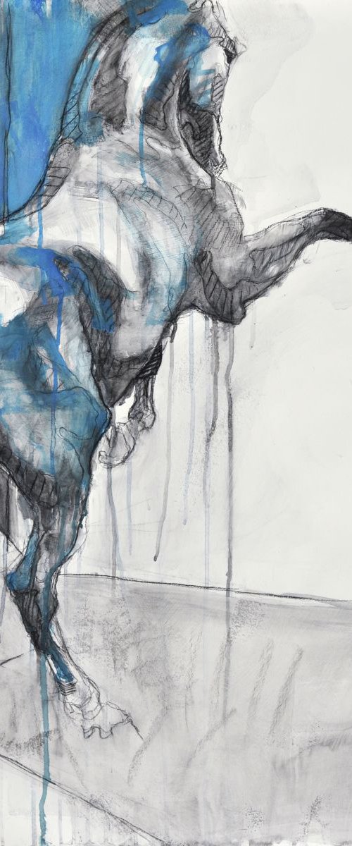 Equine Nude 11t by Benedicte Gele