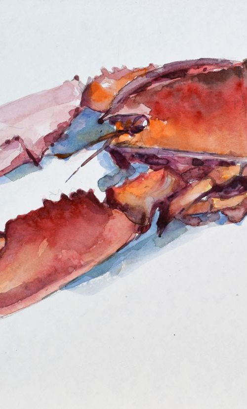 Lobster by Goran Žigolić Watercolors