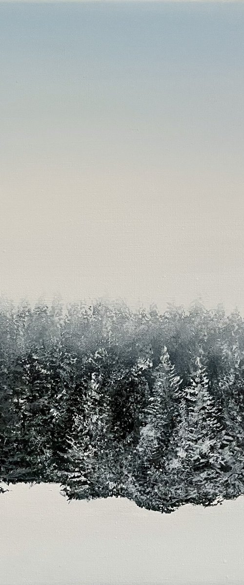 Winter by Victoria Obolensky