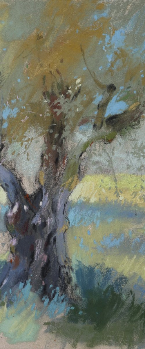 Olive tree by Victoria Ramanovich
