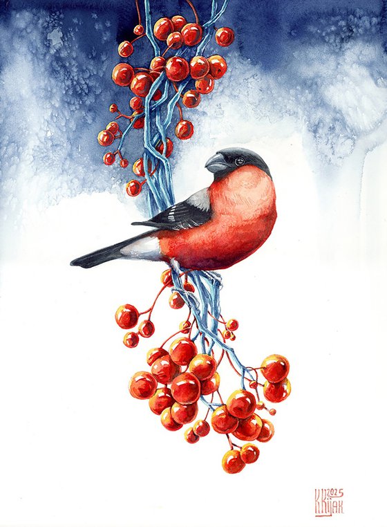 Bullfinch with rowanberry