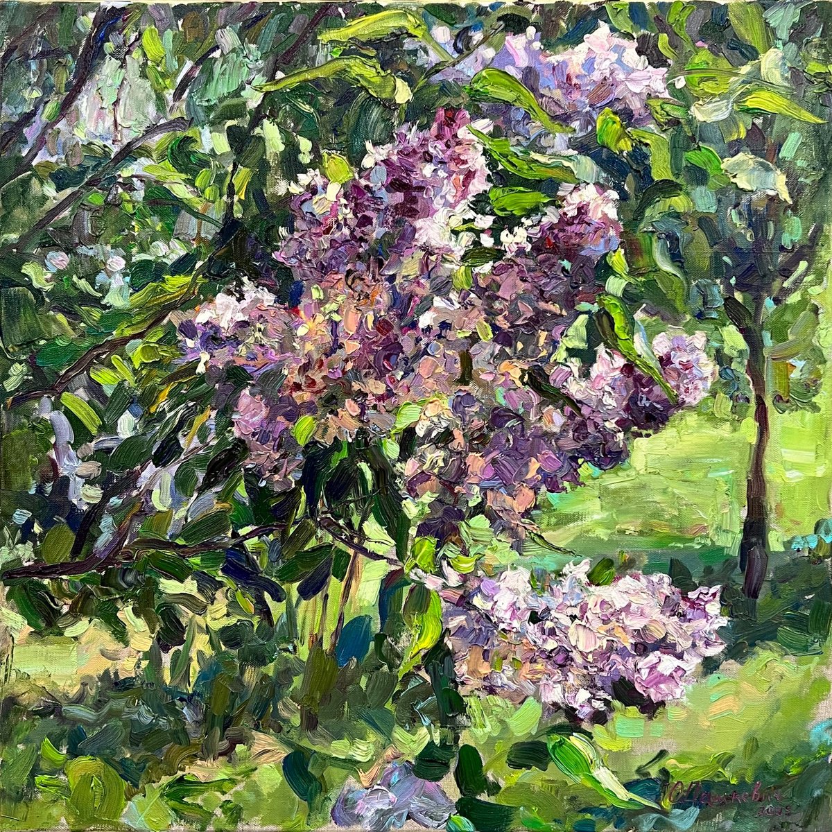 Impressionistic Botanical Oil Painting By Olha Dashkevych, 24 X 24", A Lilac In The Garden, Original Artwork