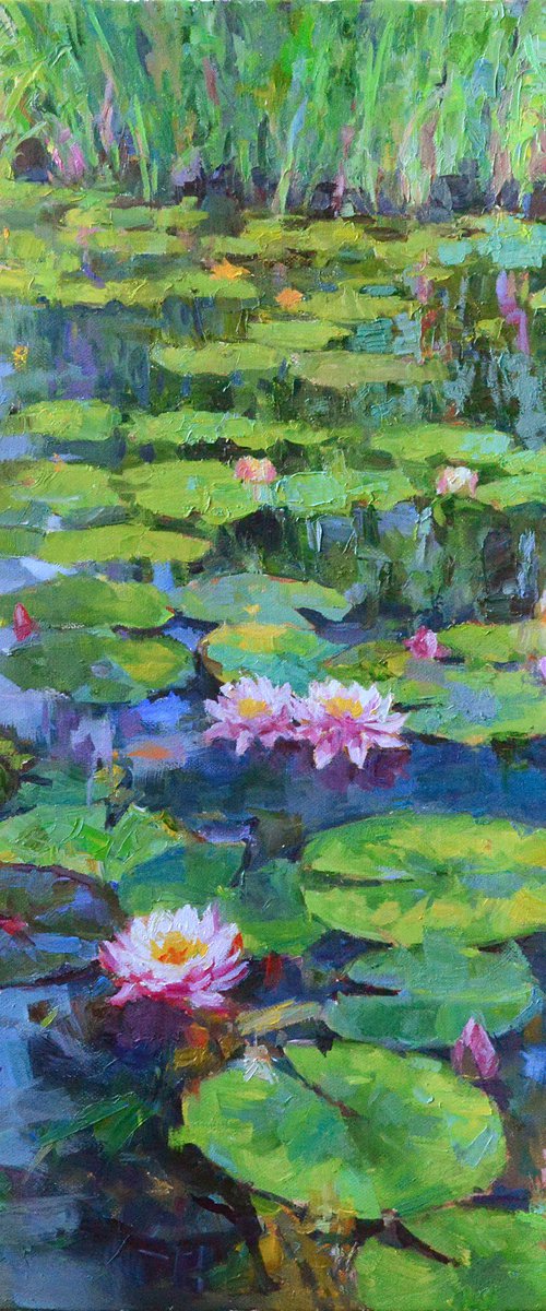 Water lilies #2 by Vachagan Manukyan