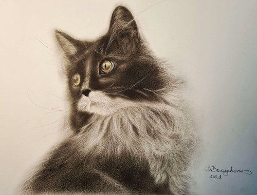 Oil painting reasilm realistic on paper cat ,, Leo,, by Deimante Bruzguliene