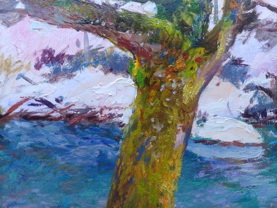 Deep water of the Carpathian rivers.