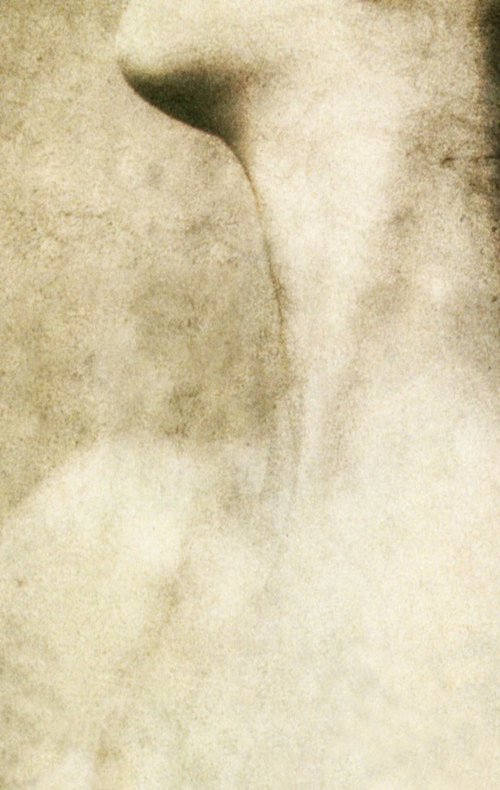 En Hauteur...... by PHILIPPE BERTHIER