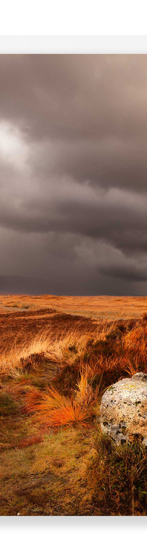 Burnished Horizons by Lynne Douglas
