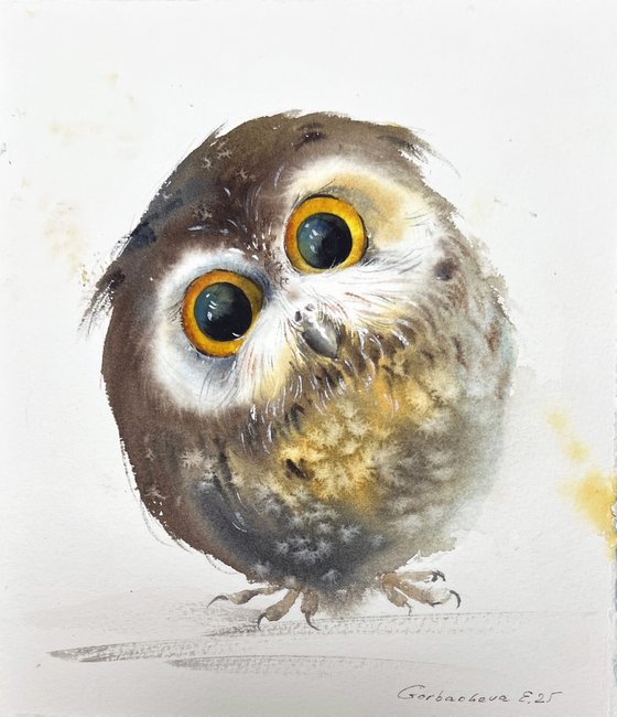 Owls (Diptych)