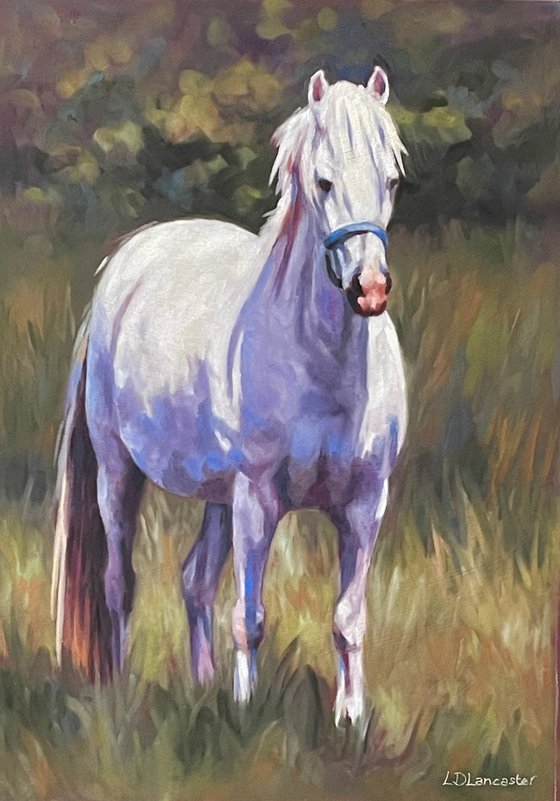 Summer Day - White Pony