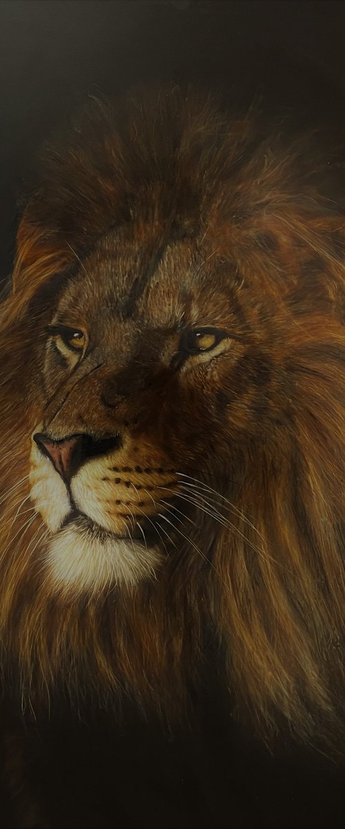 Magestic by Maria Arias