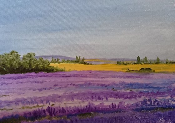 lavender fields original oil 7"x5"