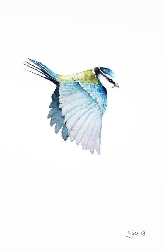 Blue Tit,  birds, wildlife and animals watercolours