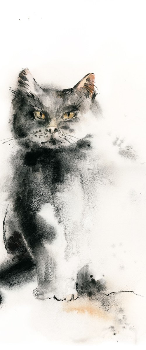 Cat by Sophie Rodionov