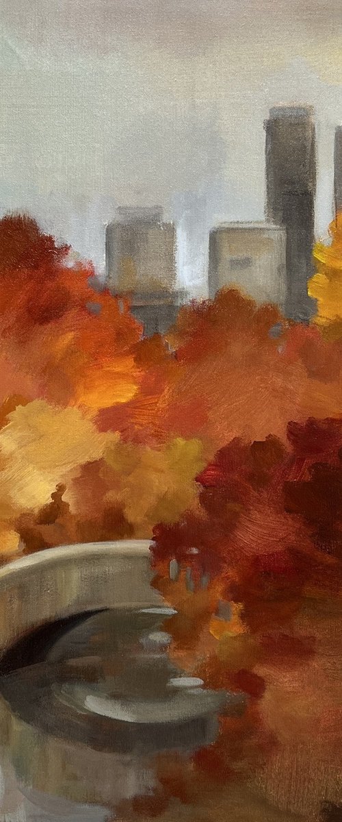 Central Park Autumn by Silvia  Vassileva