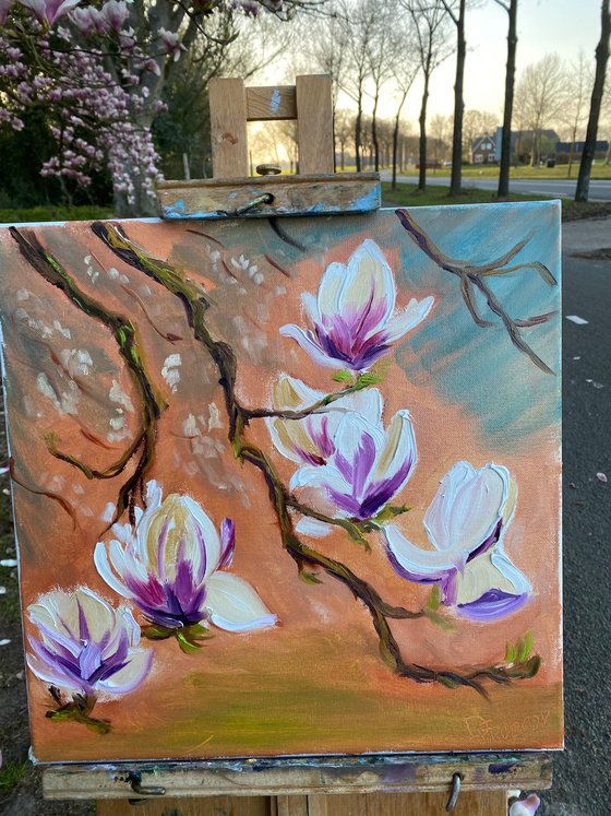Dutch Magnolia