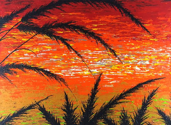 Red Sunset In The Grass