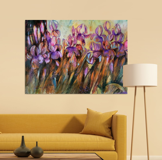 My irises