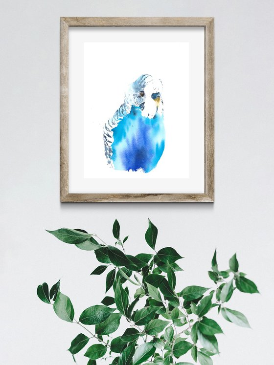 Budgie parakeet tropical bird artwork, watercolor illustration