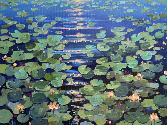 Water Lilies. The summer night glow