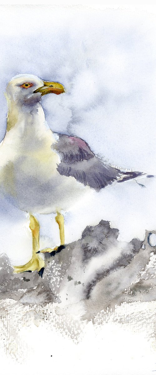 Seagull  -  Original Watercolor Painting by Olga Tchefranov (Shefranov)