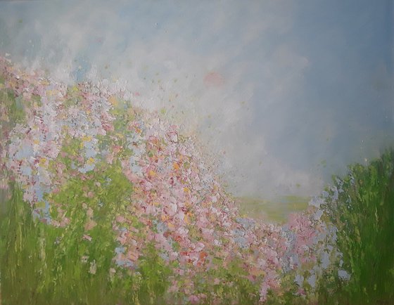 PINK SUMMER MORNING