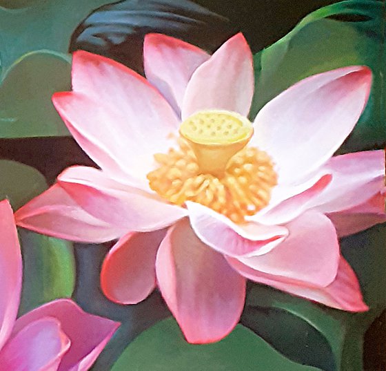 LOTUSES