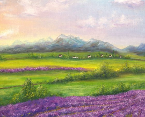 Lavender field